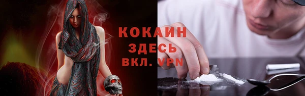 ALPHA PVP Ельня