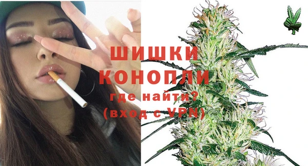 бошки Елабуга