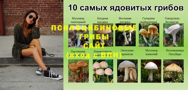 ALPHA PVP Ельня