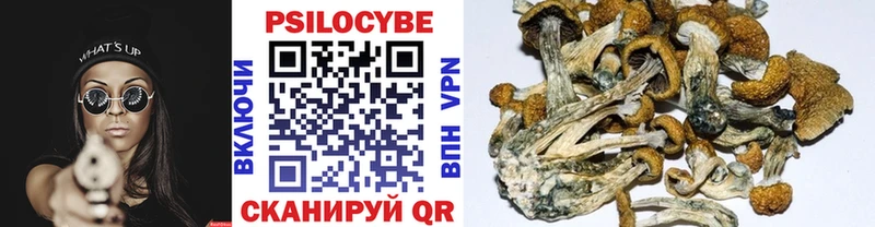 Галлюциногенные грибы Magic Shrooms Купить Мценск
