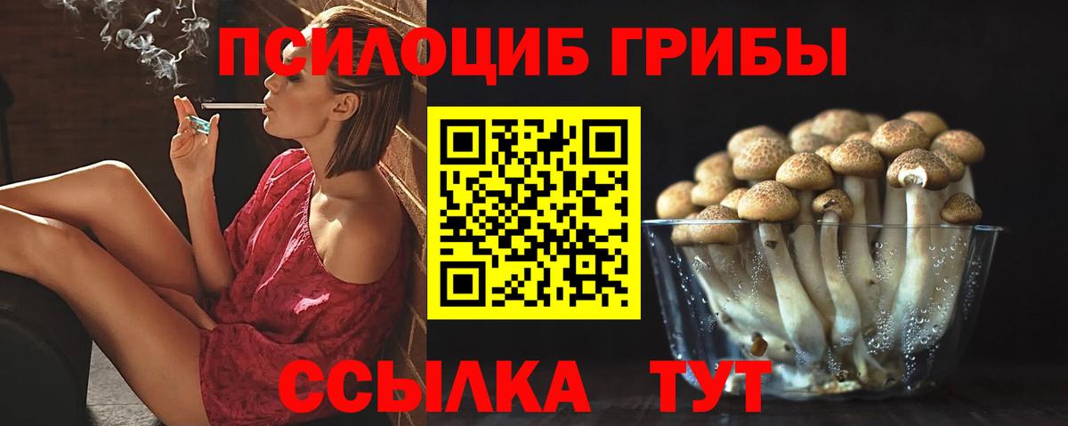 Псилоцибиновые грибы Psilocybe Мценск